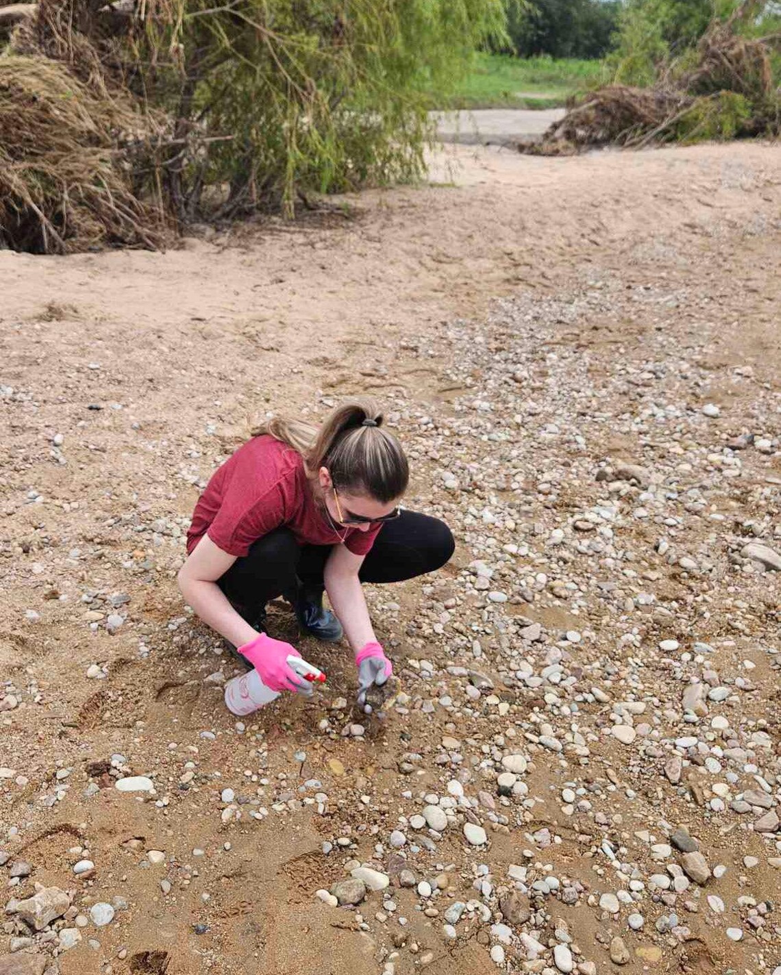 Brittany rockhounding