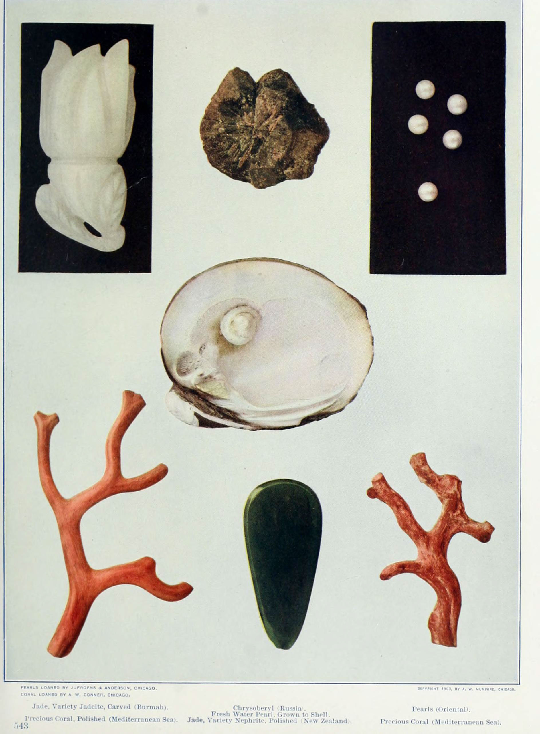 Coral Jade