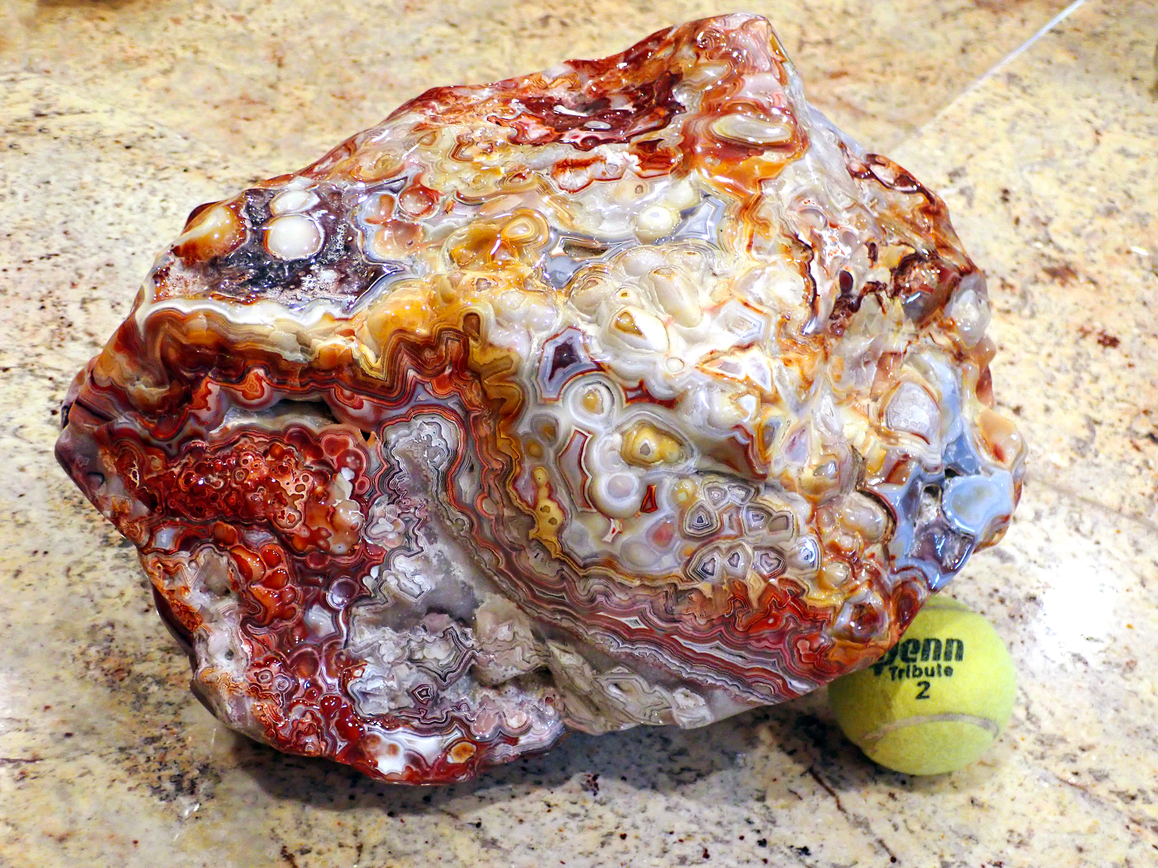 Crazy Lace Agate